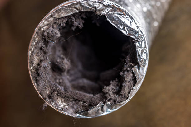Best Commercial Air Duct Cleaning  in Front Royal, VA