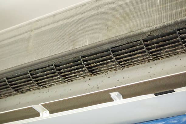 Best Best Air Duct Cleaning Company  in Front Royal, VA
